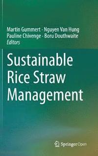 bokomslag Sustainable Rice Straw Management