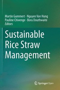 bokomslag Sustainable Rice Straw Management