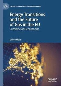 bokomslag Energy Transitions and the Future of Gas in the EU