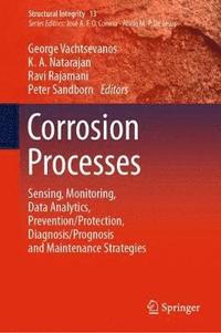 bokomslag Corrosion Processes