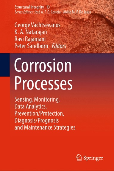 bokomslag Corrosion Processes