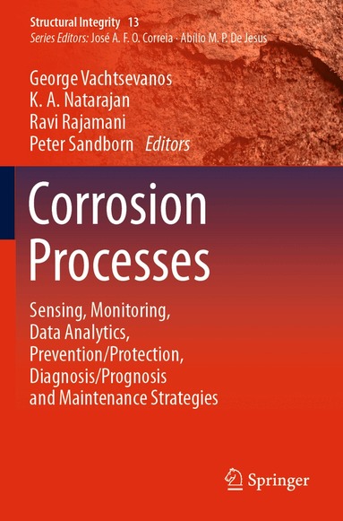 George Vachtsevanos, K. A. Natarajan, Ravi Rajamani, Peter Sandborn - Corrosion Processes, Häftad