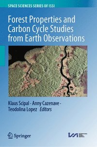 bokomslag Forest Properties and Carbon Cycle Studies from Earth Observations