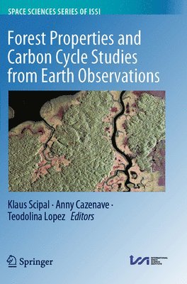 bokomslag Forest Properties and Carbon Cycle Studies from Earth Observations