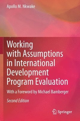 bokomslag Working with Assumptions in International Development Program Evaluation