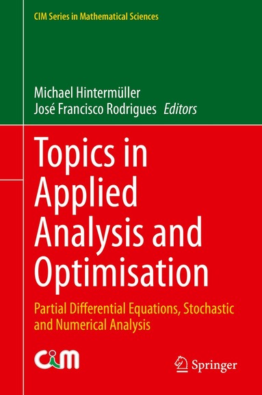 Michael Hintermüller, José Francisco Rodrigues - Topics in Applied Analysis and Optimisation, Inbunden