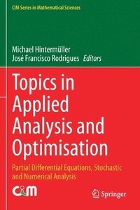 bokomslag Topics in Applied Analysis and Optimisation