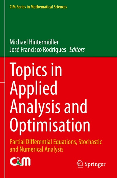 Michael Hintermüller, José Francisco Rodrigues - Topics in Applied Analysis and Optimisation, Häftad