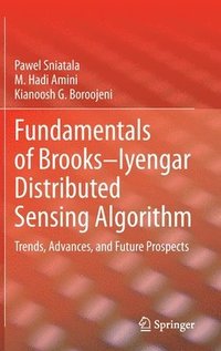 bokomslag Fundamentals of BrooksIyengar Distributed Sensing Algorithm
