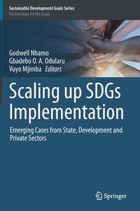 bokomslag Scaling up SDGs Implementation