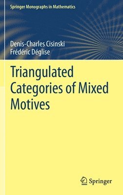 bokomslag Triangulated Categories of Mixed Motives