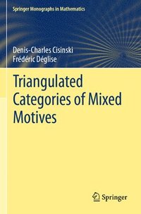 bokomslag Triangulated Categories of Mixed Motives