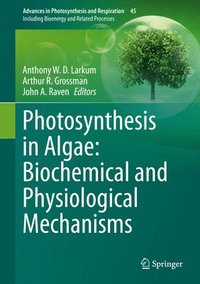 bokomslag Photosynthesis in Algae: Biochemical and Physiological Mechanisms