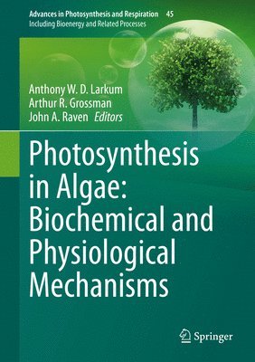 bokomslag Photosynthesis in Algae: Biochemical and Physiological Mechanisms