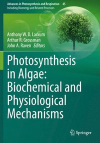 bokomslag Photosynthesis in Algae: Biochemical and Physiological Mechanisms