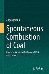 bokomslag Spontaneous Combustion of Coal