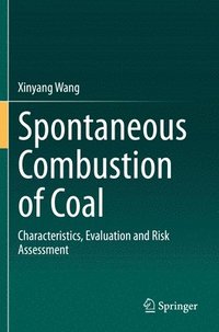 bokomslag Spontaneous Combustion of Coal