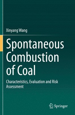 bokomslag Spontaneous Combustion of Coal