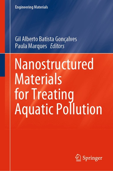 Gil Alberto Batista Gonçalves, Paula Marques - Nanostructured Materials for Treating Aquatic Pollution, Inbunden