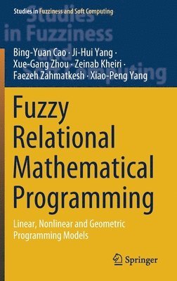 bokomslag Fuzzy Relational Mathematical Programming