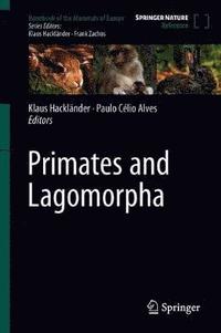 bokomslag Primates and Lagomorpha