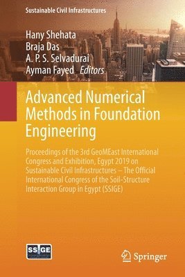 Advanced Numerical Methods in Foundation Engineering 1
