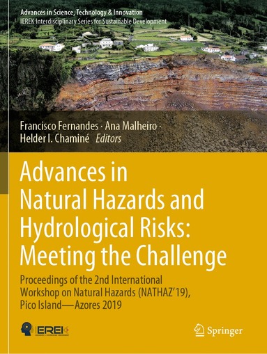 Francisco Fernandes, Ana Malheiro, Helder I. Chaminé - Advances in Natural Hazards and Hydrological Risks: Meeting the Challenge, Häftad