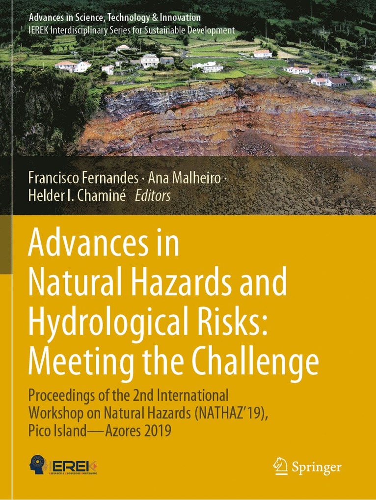 Francisco Fernandes, Ana Malheiro, Helder I. Chaminé, Helder I. Chamine - Advances in Natural Hazards and Hydrological Risks: Meeting the Challenge, Häftad