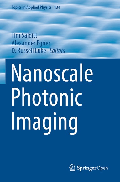 Tim Salditt, Alexander Egner, D. Russell Luke - Nanoscale Photonic Imaging, Häftad