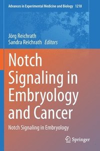 bokomslag Notch Signaling in Embryology and Cancer