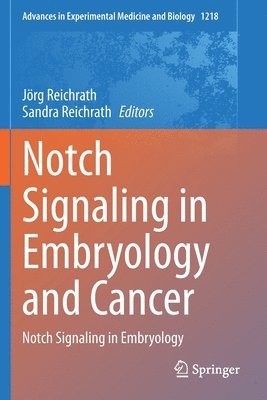 bokomslag Notch Signaling in Embryology and Cancer