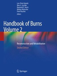 bokomslag Handbook of Burns Volume 2