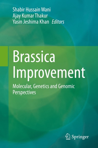 bokomslag Brassica Improvement