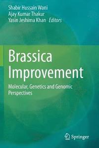 bokomslag Brassica Improvement