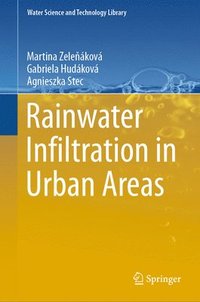 bokomslag Rainwater Infiltration in Urban Areas