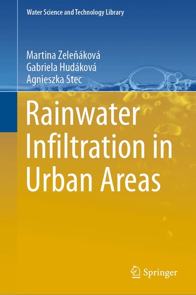 Martina Zeleňáková, Gabriela Hudáková, Agnieszka Stec - Rainwater Infiltration in Urban Areas, Inbunden