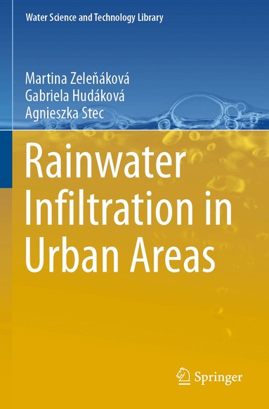 Martina Zeleňáková, Gabriela Hudáková, Agnieszka Stec - Rainwater Infiltration in Urban Areas, Häftad