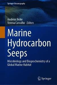 bokomslag Marine Hydrocarbon Seeps