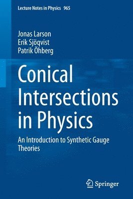 bokomslag Conical Intersections in Physics