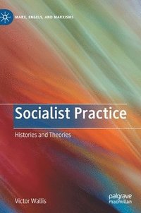 bokomslag Socialist Practice