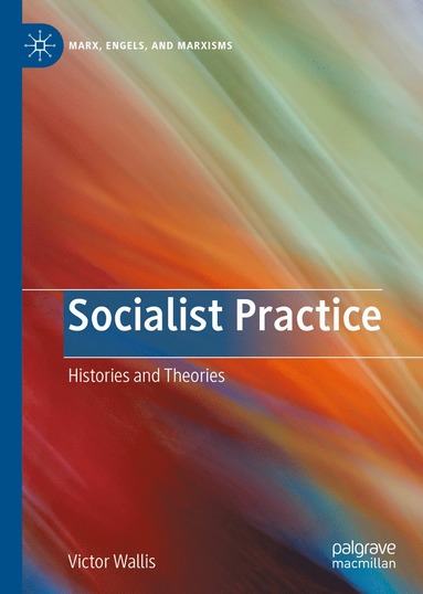 bokomslag Socialist Practice