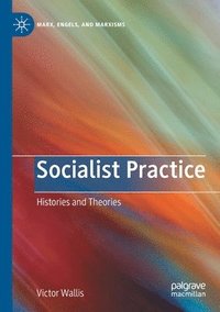 bokomslag Socialist Practice
