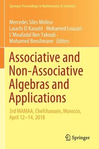 bokomslag Associative and Non-Associative Algebras and Applications