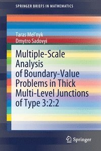 bokomslag Multiple-Scale Analysis of Boundary-Value Problems in Thick Multi-Level Junctions of Type 3:2:2