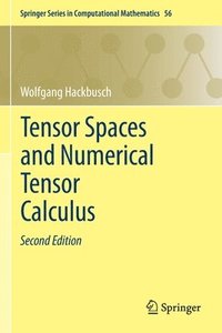 bokomslag Tensor Spaces and Numerical Tensor Calculus