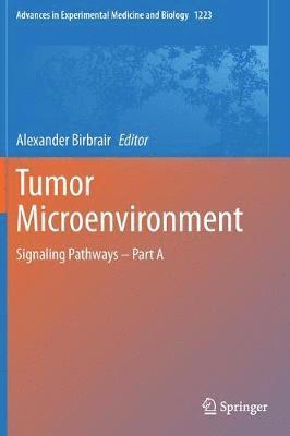 bokomslag Tumor Microenvironment