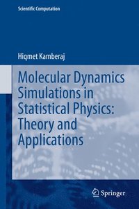 bokomslag Molecular Dynamics Simulations in Statistical Physics: Theory and Applications