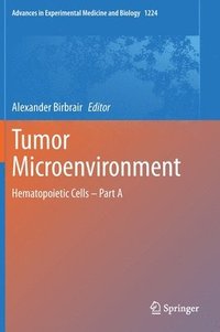 bokomslag Tumor Microenvironment