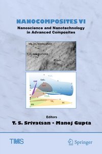 bokomslag Nanocomposites VI: Nanoscience and Nanotechnology in Advanced Composites