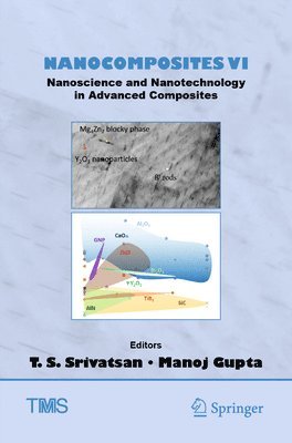 bokomslag Nanocomposites VI: Nanoscience and Nanotechnology in Advanced Composites